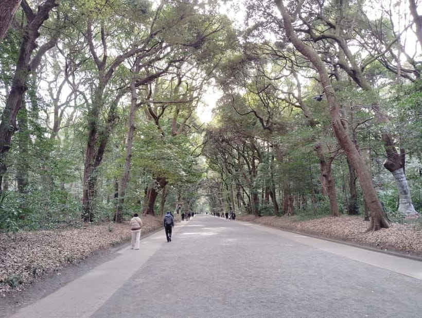 Tokyo: Meiji Jingu Shrine & Inner Garden Guided Tour (2h) - Kiyomasa’s Well, if time allows