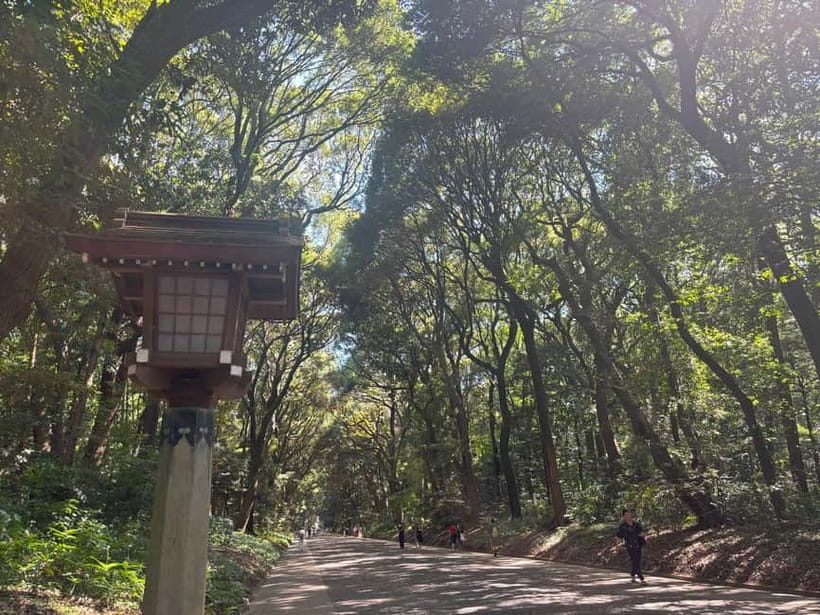 Tokyo: Meiji Jingu, Yoyogi Park & Takeshita Street Tour - Key points at a glance