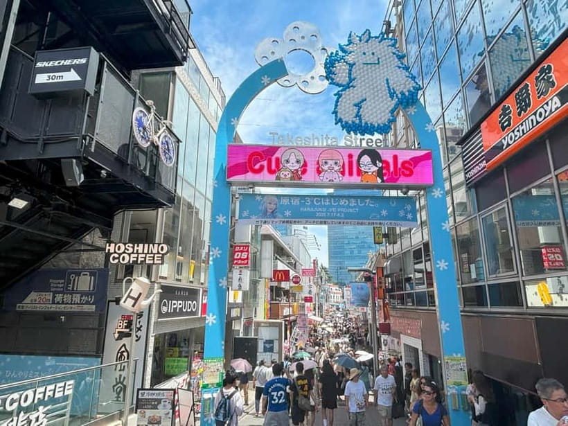 Tokyo: Meiji Jingu, Yoyogi Park & Takeshita Street Tour - Why this Harajuku route works so well