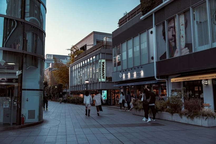 Tokyo: Meiji Jingu, Yoyogi Park & Takeshita Street Tour - Yoyogi Park: a short green pause
