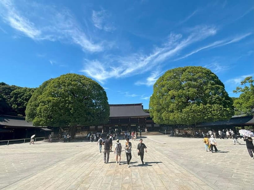 Tokyo: Meiji Jingu, Yoyogi Park & Takeshita Street Tour - Omotesando: a polished finish