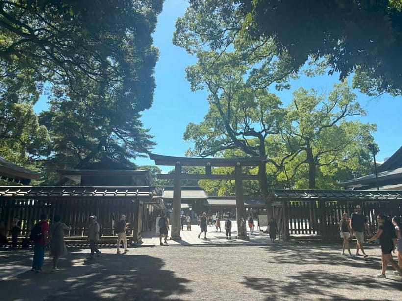Tokyo: Meiji Jingu, Yoyogi Park & Takeshita Street Tour - Should you book the Meiji Jingu and Harajuku tour?