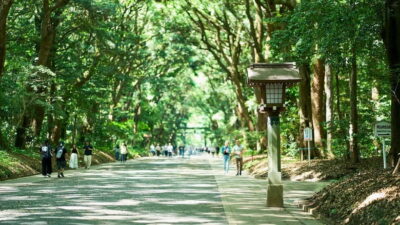 Meiji Shrine Walking Tour — Shinto & Imperial System