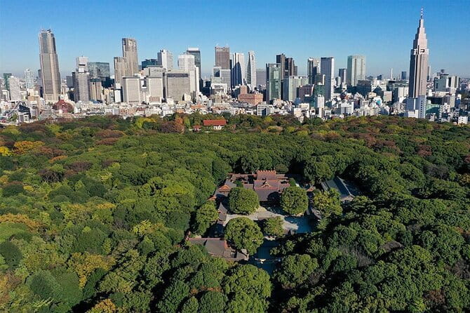 Tokyo: Meiji Shrine Walking Tour — Shintoism & Imperial System - Sake barrels and the first Shinto lessons