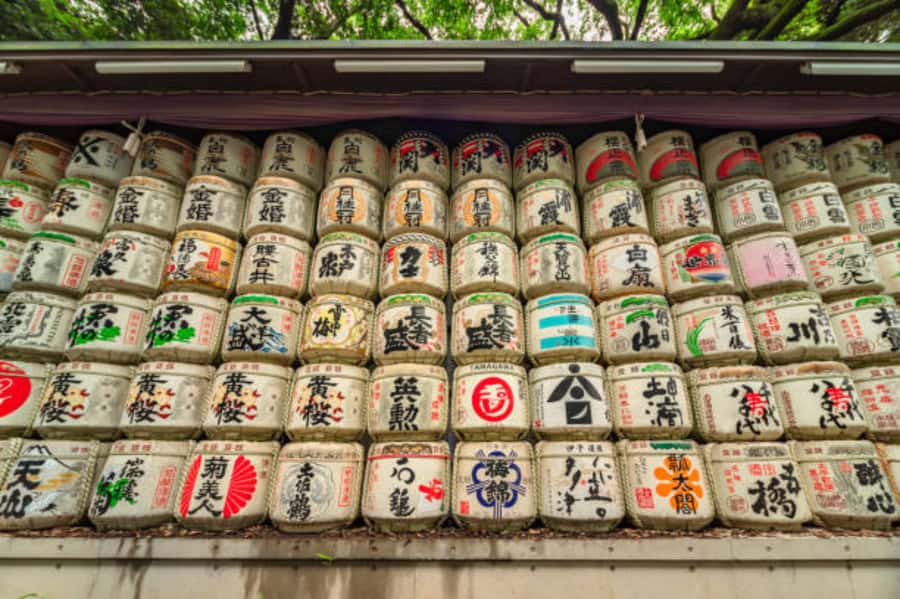 Tokyo: Meiji Shrine Walking Tour with Local Guide - Why Meiji Shrine works better with a guide