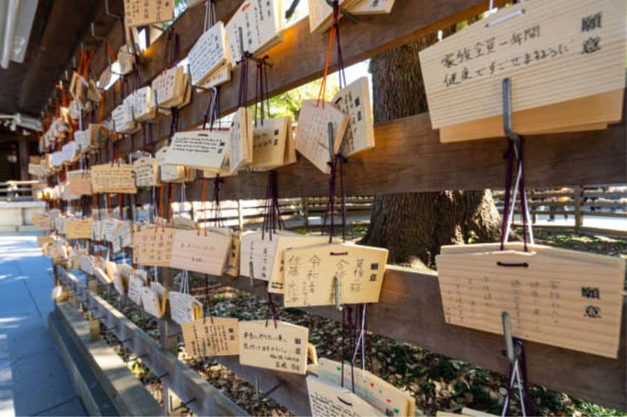 Tokyo: Meiji Shrine Walking Tour with Local Guide - Looking behind the main hall