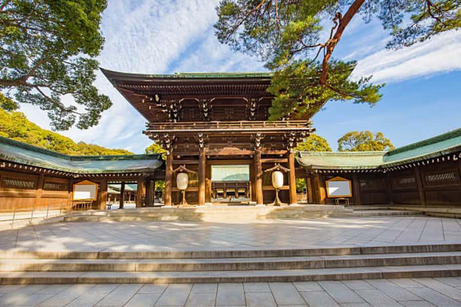 Tokyo: Meiji Shrine Walking Tour with Local Guide - From sacred grounds to everyday Harajuku