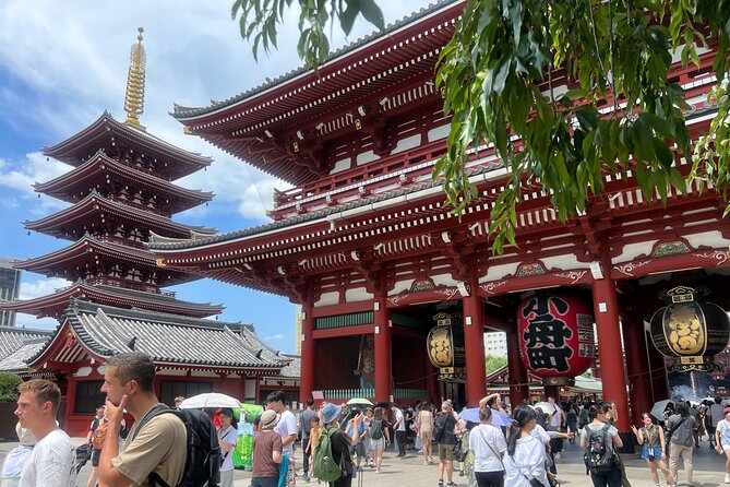Tokyo Morning Tour: Asakusa, Meiji Shrine and Tsukiji Fish Market - Meiji Shrine: quiet paths near Harajuku