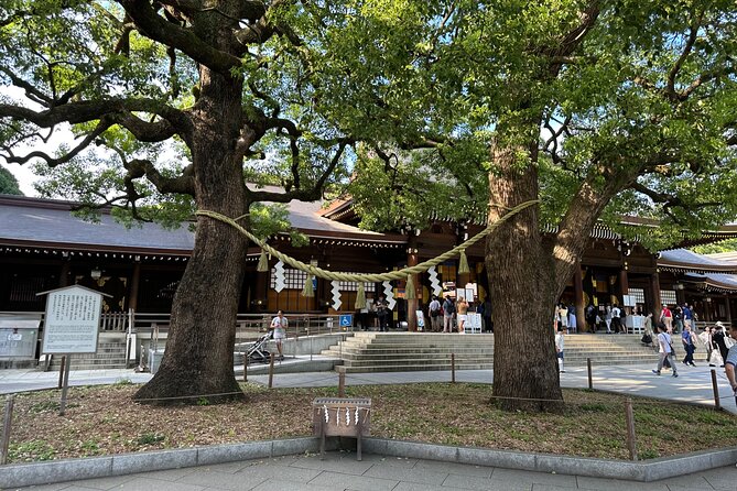 Tokyo Morning Tour: Asakusa, Meiji Shrine and Tsukiji Fish Market - Price, cancellation, and practical value