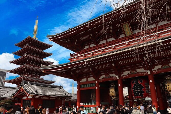 Tokyo Morning Tour : Meiji Shrine, Asakusa and Fish Market - Is $72.67 a fair price?