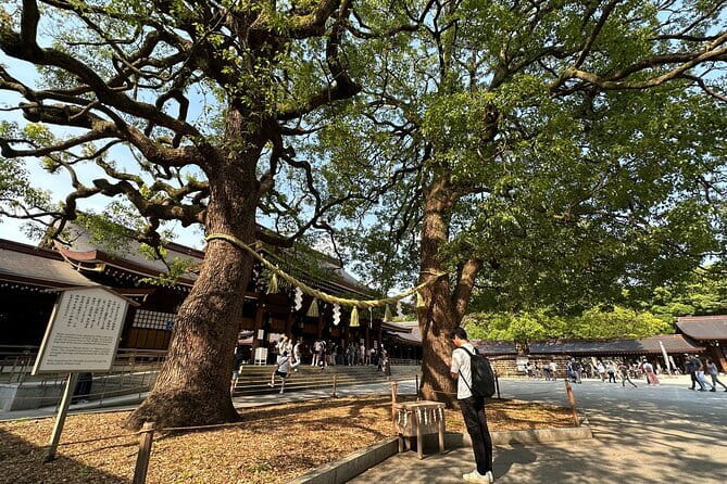 Tokyo Morning Tour : Meiji Shrine, Asakusa and Fish Market - Who will get the most from this morning?