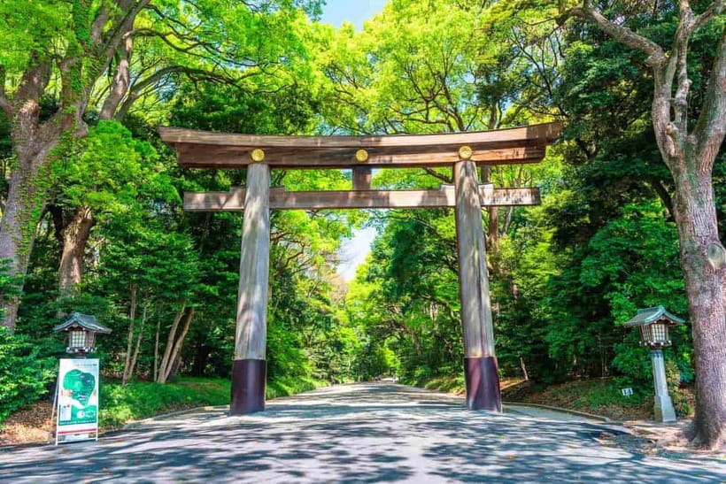 Tokyo Morning Tour: Meiji Shrine, Asakusa & Fish Market - Why this morning route works in Tokyo
