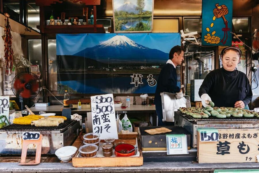 Tokyo: Mt. Fuji, Kamakura, Big Buddha, & Lake Ashi Day Trip - Who Should Book This Fuji Tour?