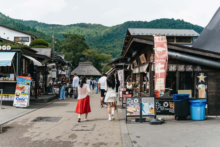 Tokyo: Mt. Fuji, Kamakura, Big Buddha, & Lake Ashi Day Trip - Arakurayama Sengen Park and the Famous Pagoda View