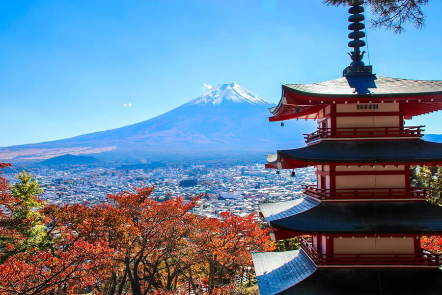 Tokyo:Mt.Fuji,Kawaguchiko Oishi Park,Arakurayama Sengen Park - Kawaguchiko Craft Park and the optional lunch