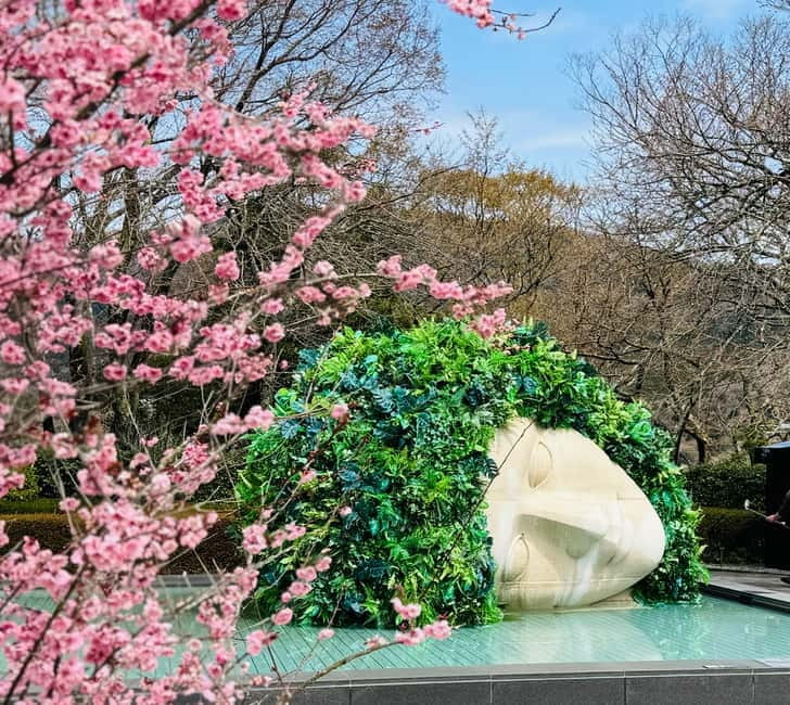 Tokyo: Mt. Fuji, Owakudani, Hakone Shrine, & Open-Air Museum - Why Hakone makes a strong day trip from Tokyo