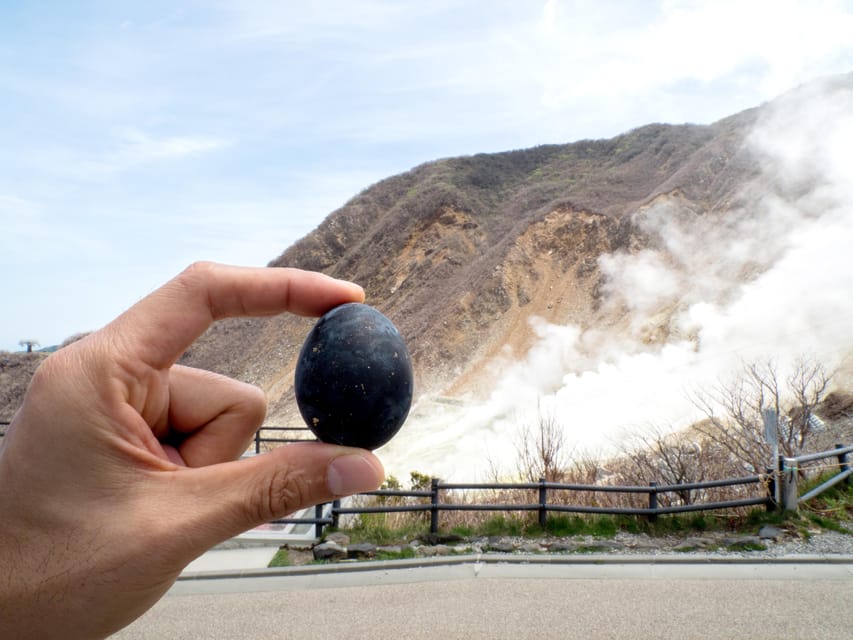 Tokyo: Mt. Fuji, Owakudani, Hakone Shrine, & Open-Air Museum - What the $79 price really covers