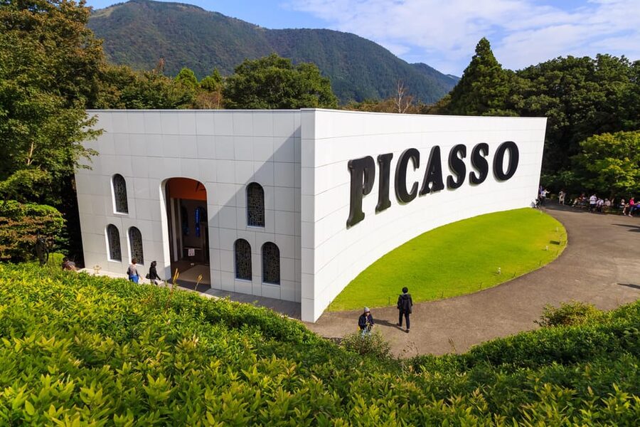Tokyo: Mt. Fuji, Owakudani, Hakone Shrine, & Open-Air Museum - Should you book it?