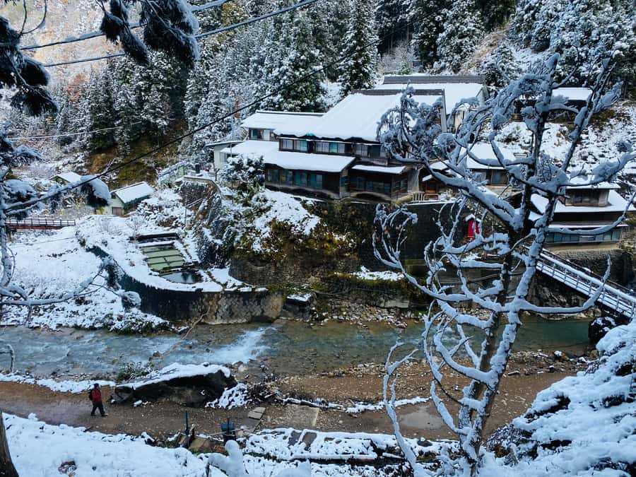 Tokyo/Nagano: private Tour with Snow Monkey Park & Temples - Key points to know before booking