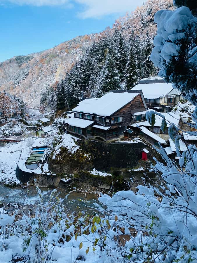 Tokyo/Nagano: private Tour with Snow Monkey Park & Temples - A private vehicle makes the distance easier