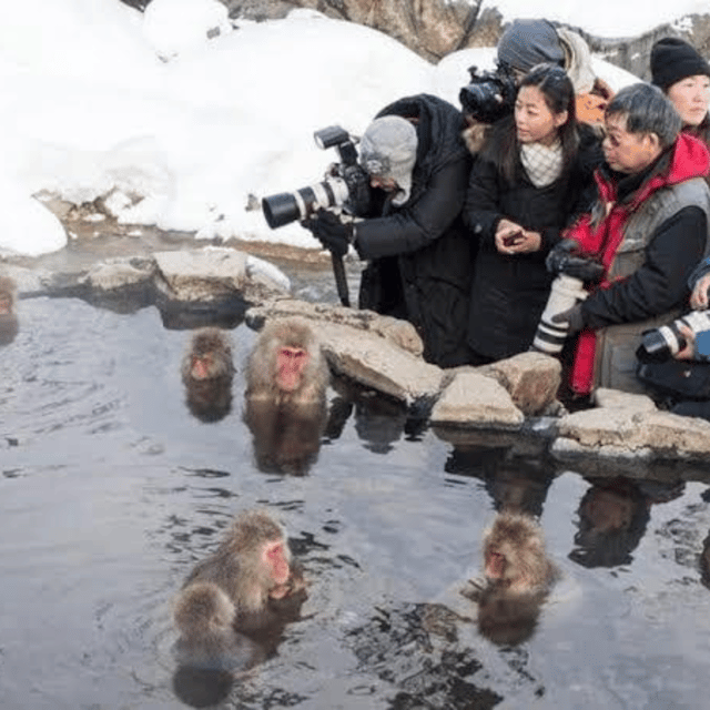 Tokyo: Nagano Snow Monkeys and Zenkoji Tour with Temples - Obuse brings a slower street scene