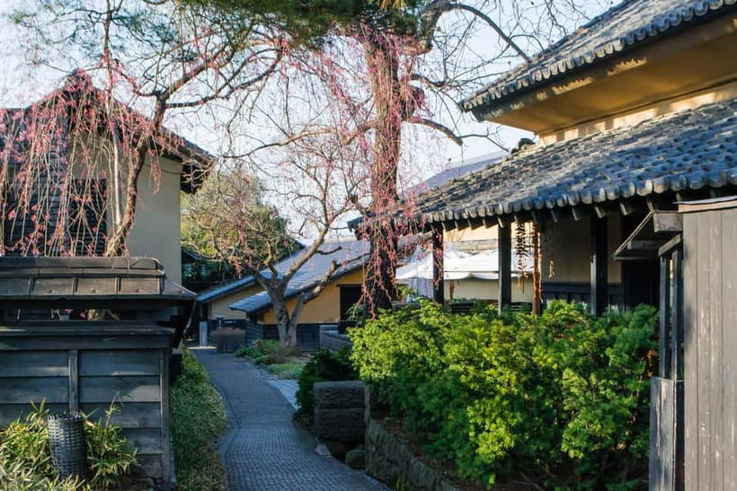 Tokyo: Nagano Snow Monkeys and Zenkoji Tour with Temples - Shibu Onsen adds steam, streets, and atmosphere