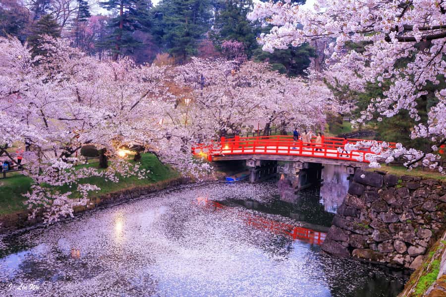 Tokyo: Nikko Day Tour Shrines, Lake Chūzenji & Kegon Falls - Crossing the red Shinkyo Bridge