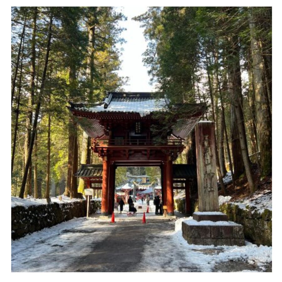 Tokyo: Nikko Day Tour Shrines, Lake Chūzenji & Kegon Falls - What the private vehicle adds