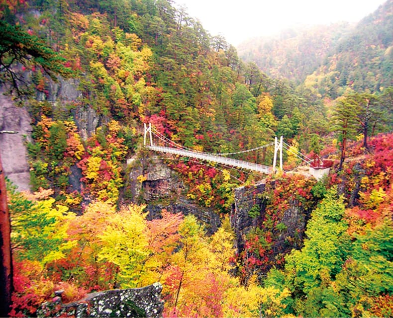 Tokyo: Nikko Day Tour with English Driver and Flexible … - Shinkyo Bridge is beautiful, but brief