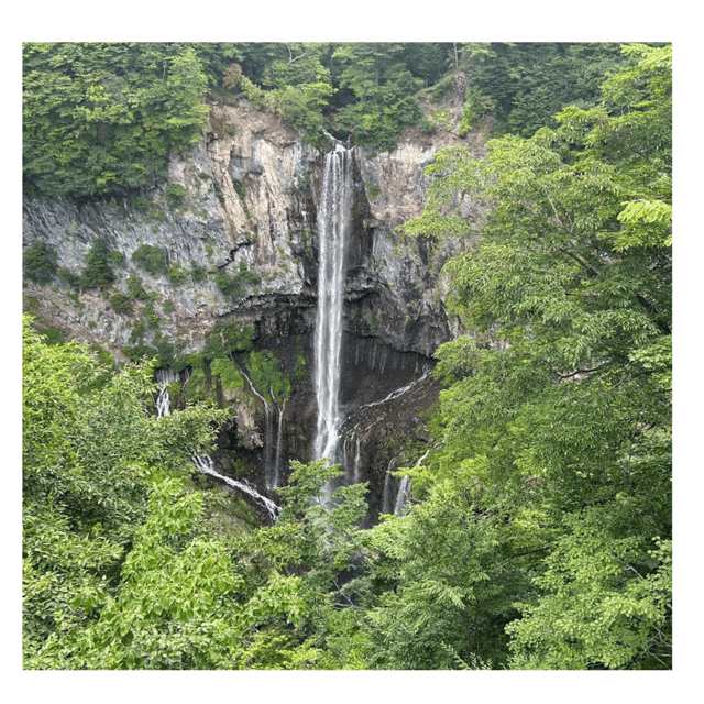 Tokyo: Nikko Kegon Falls Lake Chuzenji Toshogu Temple & More - Key points to know before booking