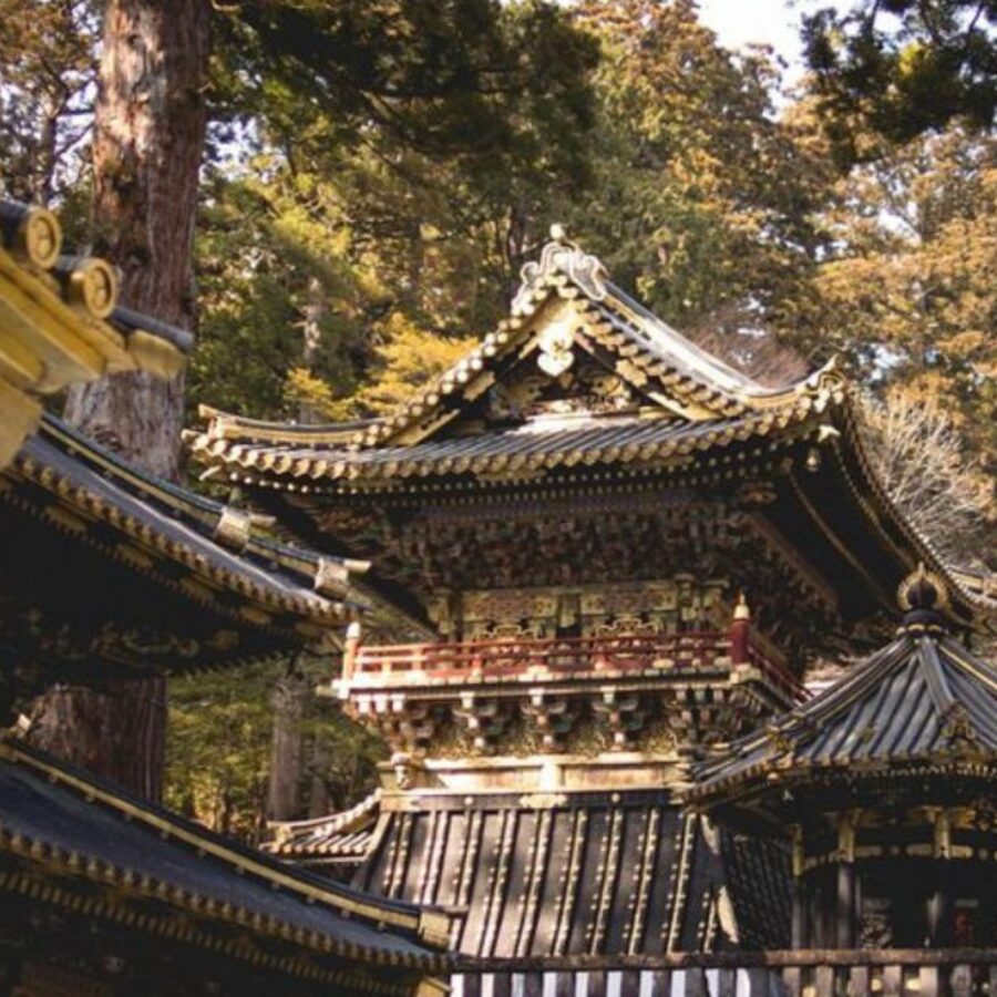 Tokyo: Nikko Kegon Falls Lake Chuzenji Toshogu Temple & More - Timing, food, and what you pay extra for