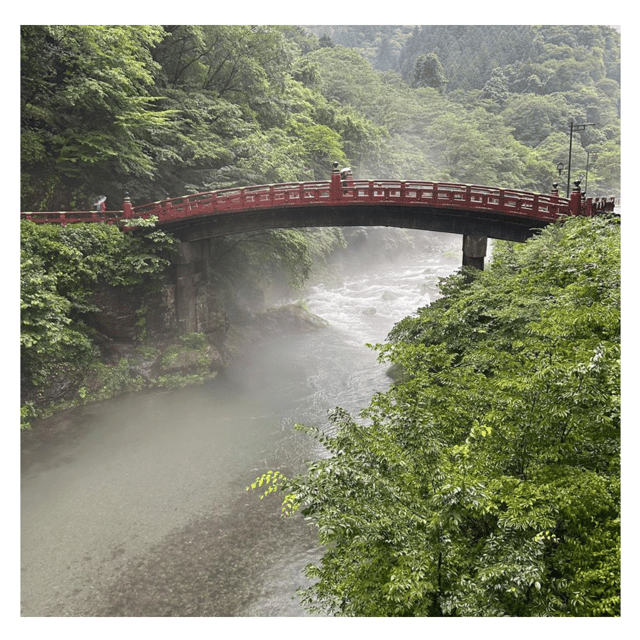 Tokyo: Nikko Kegon Falls Lake Chuzenji Toshogu Temple & More - What the private vehicle adds