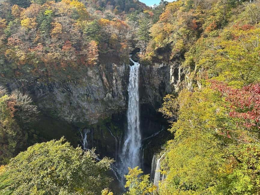 Tokyo → Nikko:Private Customizable Day Trip (English Driver) - Key points to know before you book