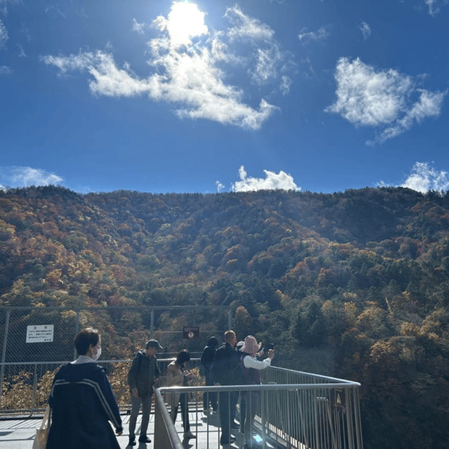 Tokyo → Nikko:Private Customizable Day Trip (English Driver) - The drivers and the comfort factor