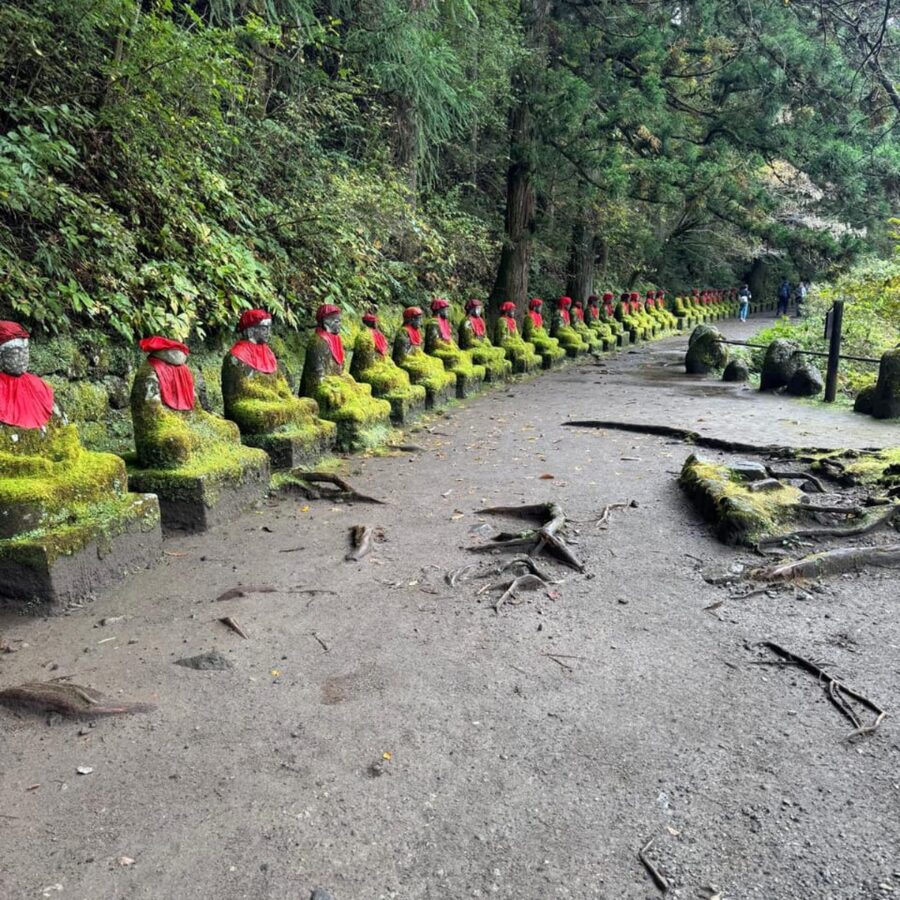 Tokyo → Nikko:Private Customizable Day Trip (English Driver) - Nikko town and Nikkō National Park