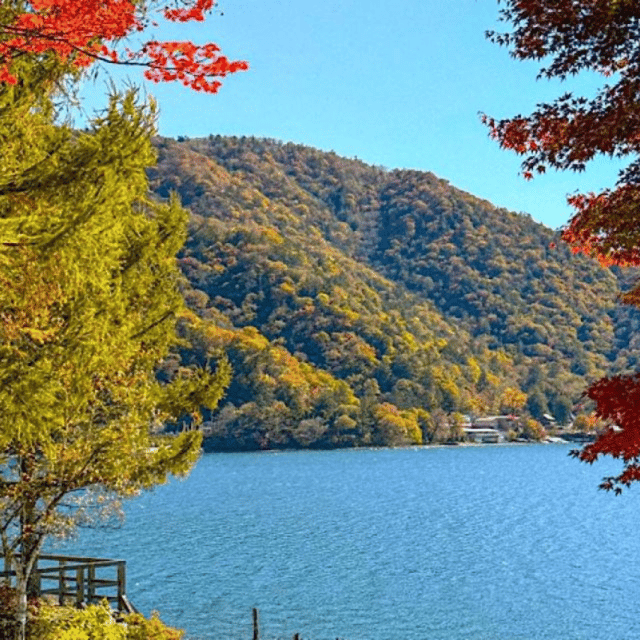 Tokyo → Nikko:Private Customizable Day Trip (English Driver) - Edo Wonderland, an optional change of tone