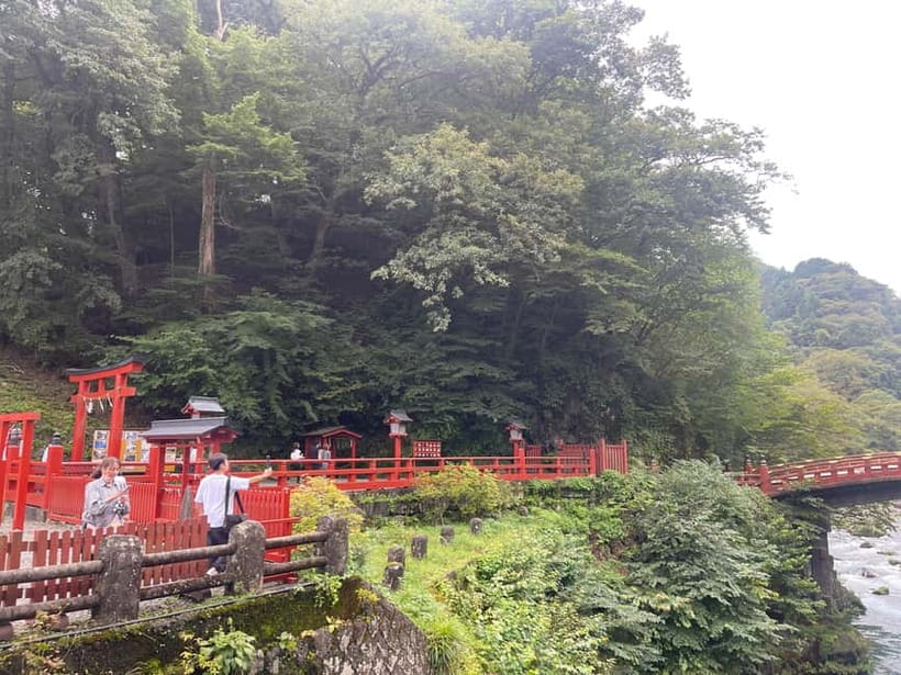 Tokyo: Nikko Private Customize Tour English Driver & Guide - The private vehicle changes the rhythm of the day