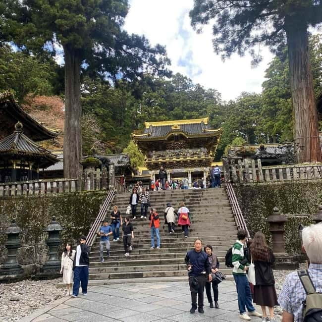 Tokyo: Nikko Private Day Tour Fully Customizeable Low Price - Key points to know before booking