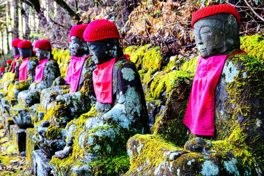 Tokyo: Nikko Private Day Tour with English Speaking Driver - The driver experience and the value of a private car