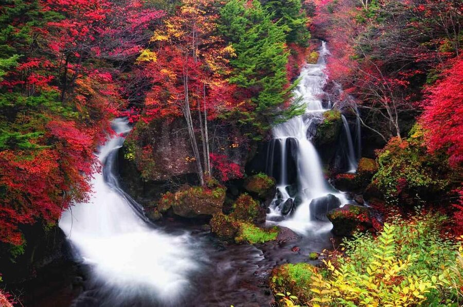 Tokyo: Nikko Private Day Tour with English Speaking Driver - Shinkyo Bridge, Nikko’s graceful first stop