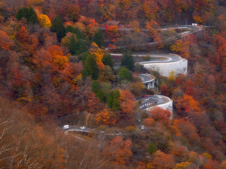 Tokyo: Nikko Private Day Tour With Guide - Key points to know before you book