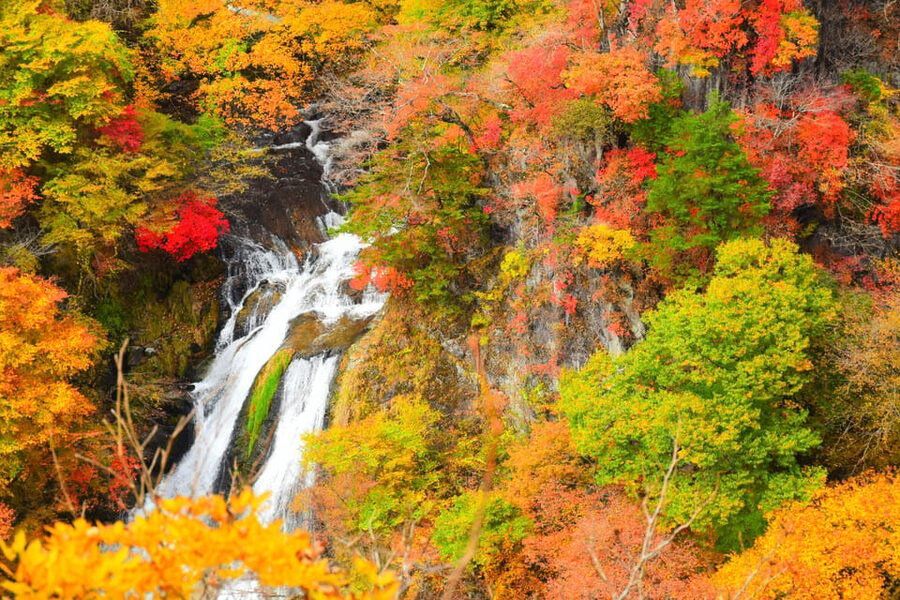Tokyo: Nikko Private Sightseeing Day Trip with Driver - Toshogu Shrine: the cultural heart of the day