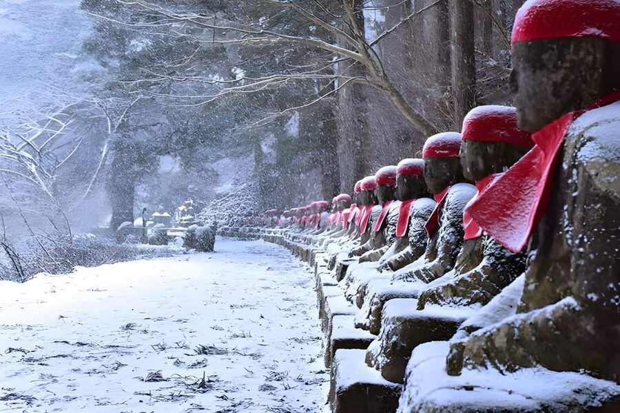 Tokyo: Nikko Private Sightseeing Day Trip with Driver - What the $355 price really buys