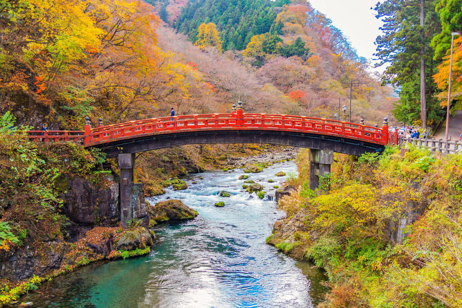 Tokyo Nikko Toshogu Shrine Iroha-zaka Lake Chuzenji Day Tour - The Mashodai Skyline Cable Car viewpoint