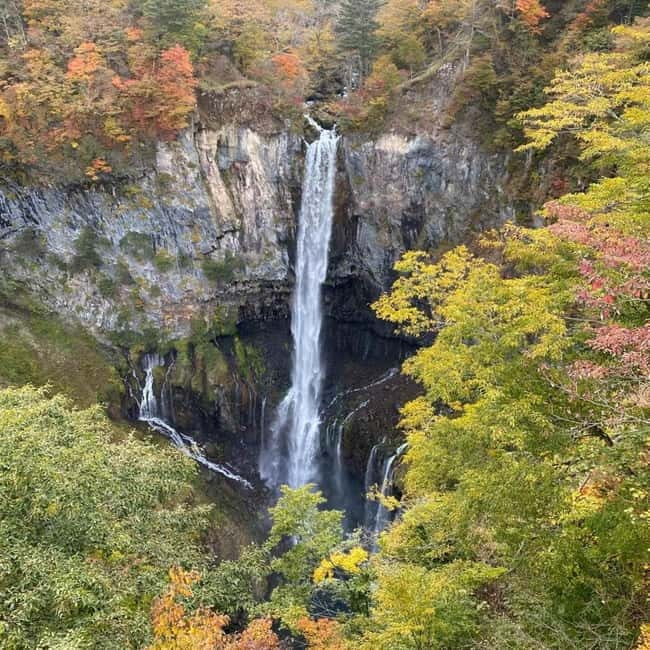 Tokyo:Nikko UNESCO World Heritage Sites Private 1-Day Tour - Key points to know before booking