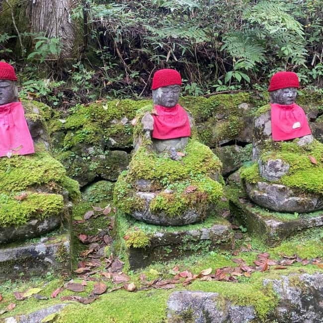 Tokyo:Nikko UNESCO World Heritage Sites Private 1-Day Tour - Edo Wonderland: fun, but not a natural fit for every group
