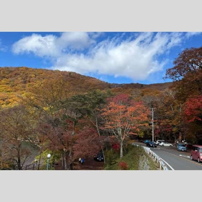 Tokyo: Nikko World Heritage Private Day Trip Hotel Pick-up - Why a private car makes Nikko easier