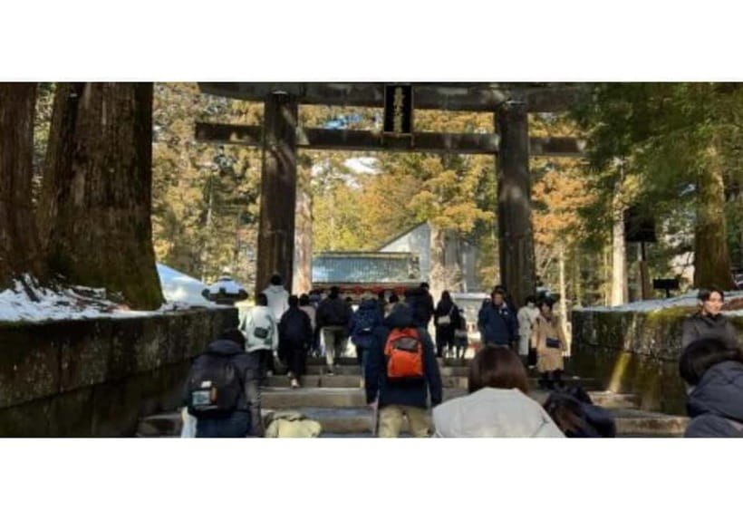 Tokyo: Nikko World Heritage Private Day Trip Hotel Pick-up - Shinkyo Bridge and the first look at Nikko