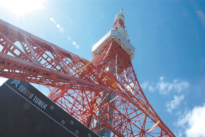 Tokyo Panoramic 1 Day: Meiji Shrine, Asakusa, Odaiba and SKYTREE® - Meiji Shrine: Tokyo’s quiet opening scene