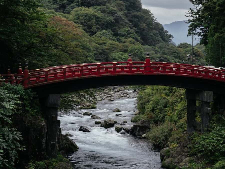 Tokyo: Private Nikko Sightseeing Tour In Luxury Land Cruiser - Narabi Jizo and Tamozawa Imperial Villa